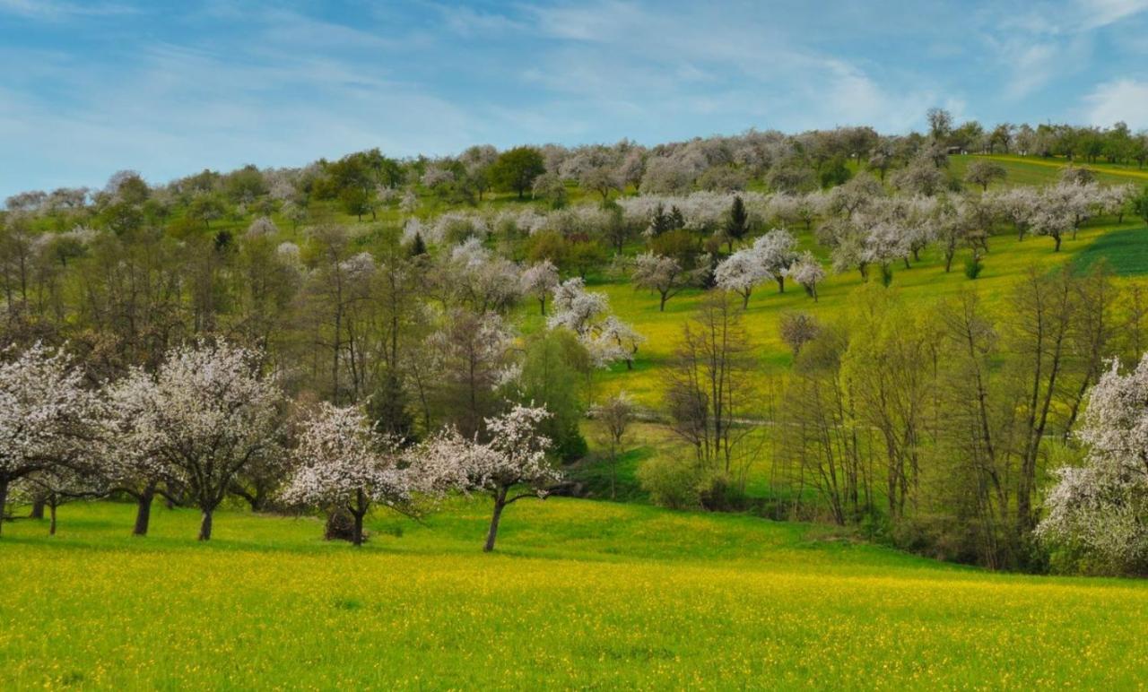 Ferienwohnung Milla Weissach im Tal المظهر الخارجي الصورة